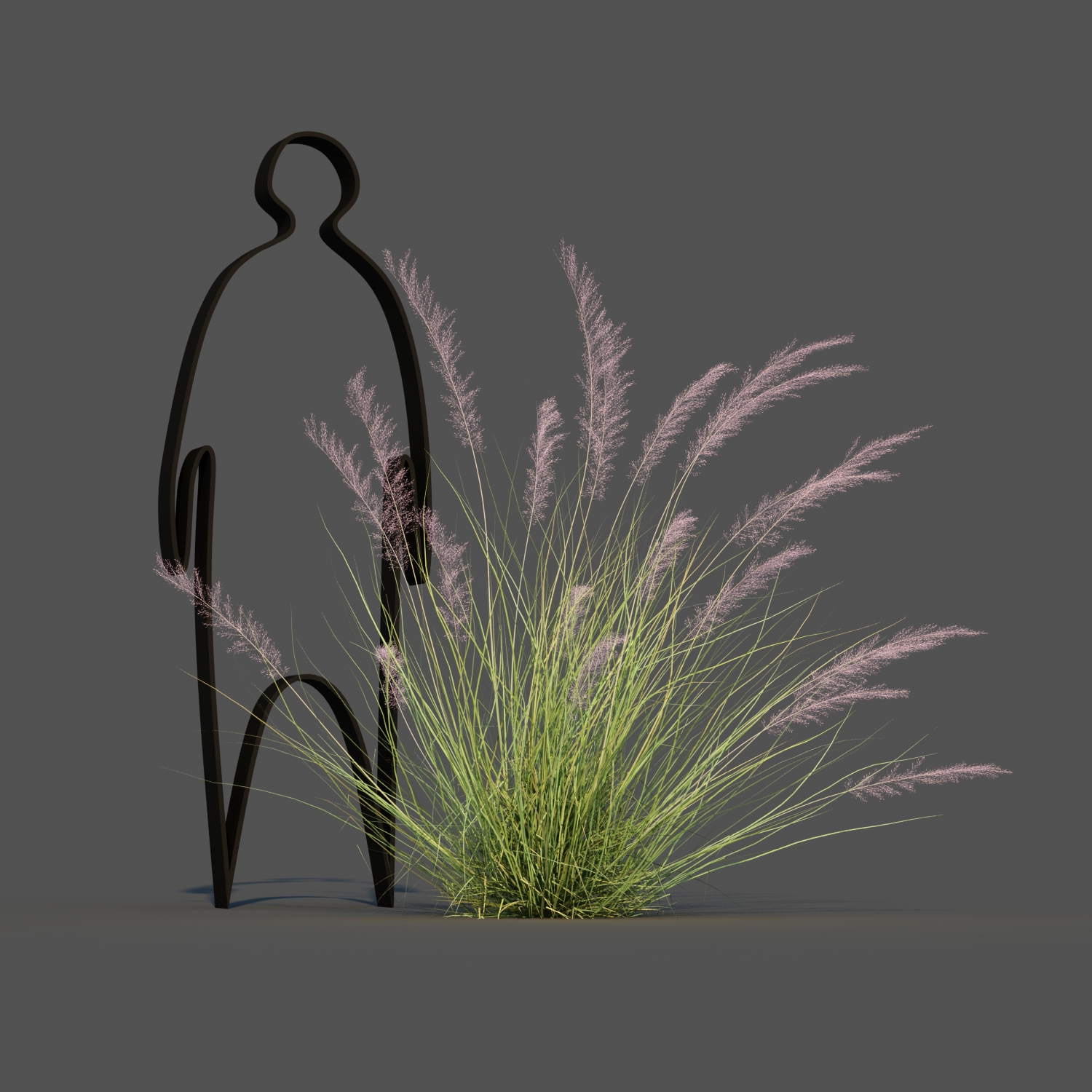 Pink Flamingo Muhly Grass 2 by parinyax | 3DOcean